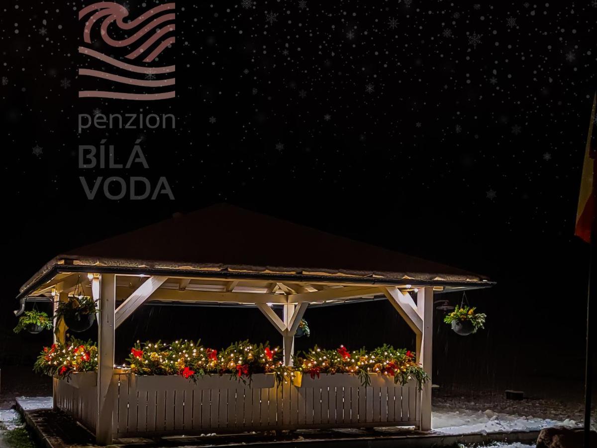 Penzion Bila Voda Harrachov Luaran gambar
