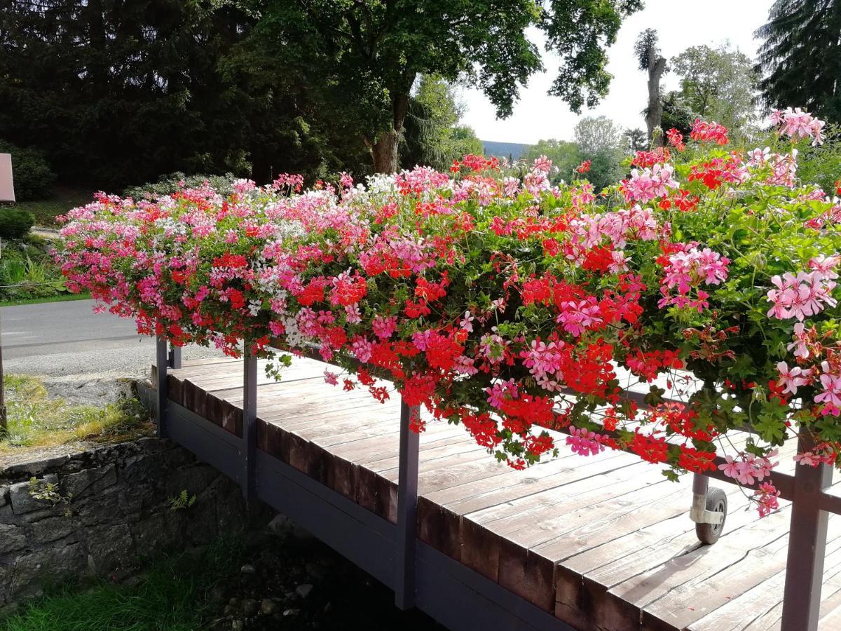 Penzion Bila Voda Harrachov Luaran gambar