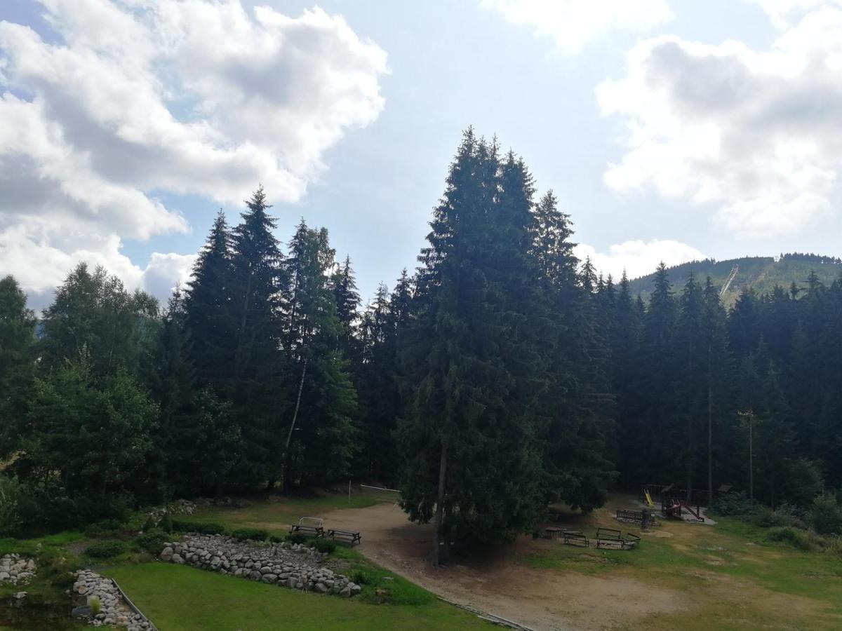 Penzion Bila Voda Harrachov Luaran gambar